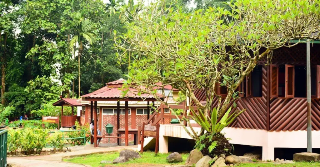 What is Gazebo and What is a Gazebo used for?