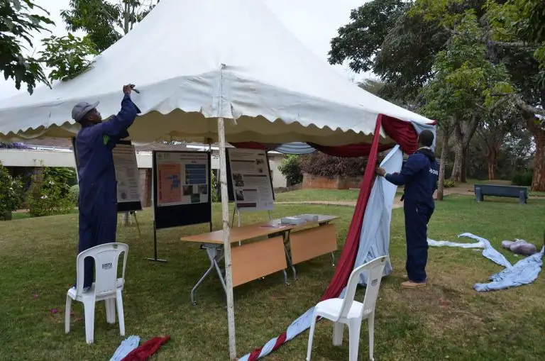 How to put up a gazebo without instructions? [2024]