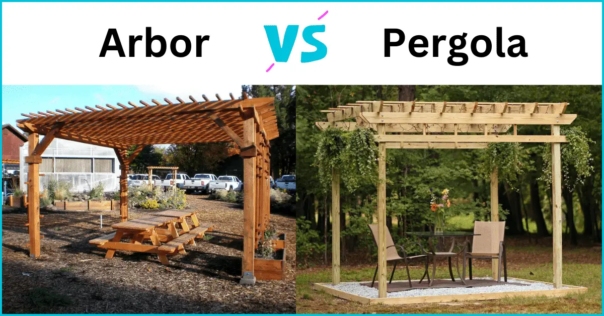 arbor vs pergola - Detailed guide