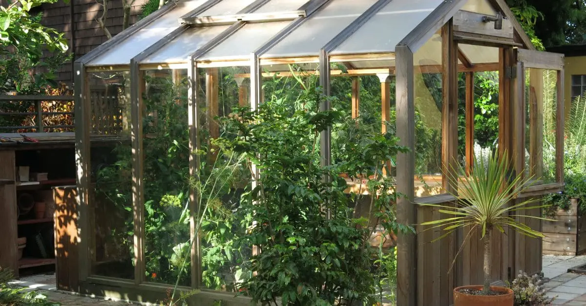 Can a gazebo be used as a greenhouse? Easy guide