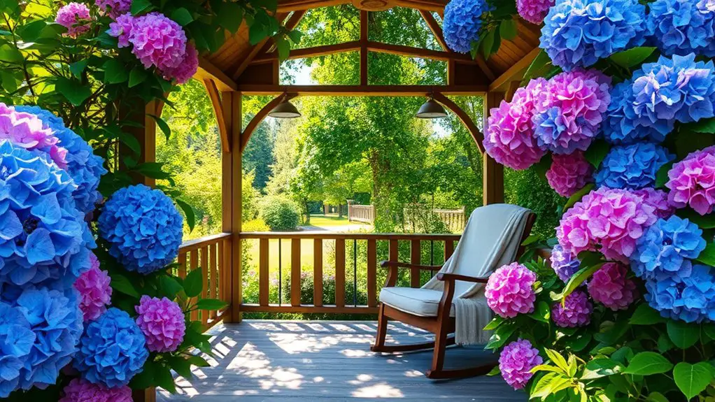 vibrant hydrangea flowering plants